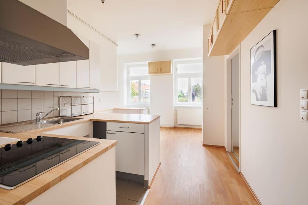 Beautiful 1 Bedroom Apartment Near Schoenbrunn Βιέννη Εξωτερικό φωτογραφία