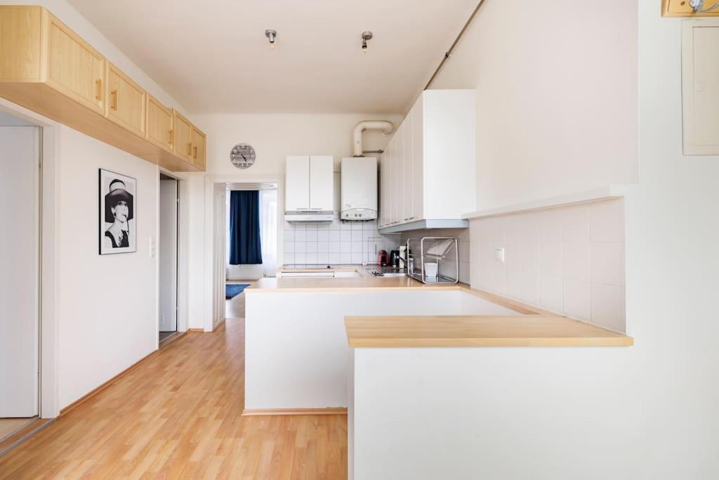 Beautiful 1 Bedroom Apartment Near Schoenbrunn Βιέννη Εξωτερικό φωτογραφία